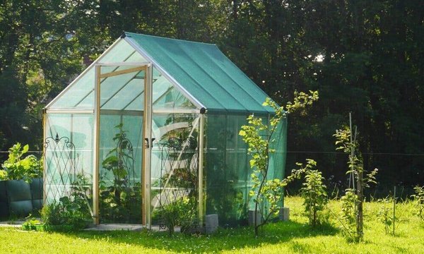 Tout savoir sur les petites serres de jardin